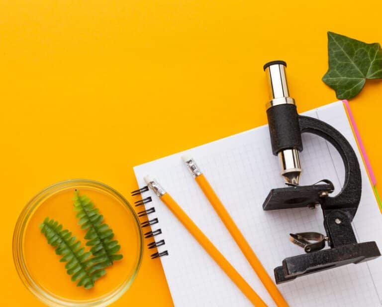 Scopri di più sull'articolo Cosa Puoi Fare con una Laurea in Biologia – Scopri Opportunità Incredibili