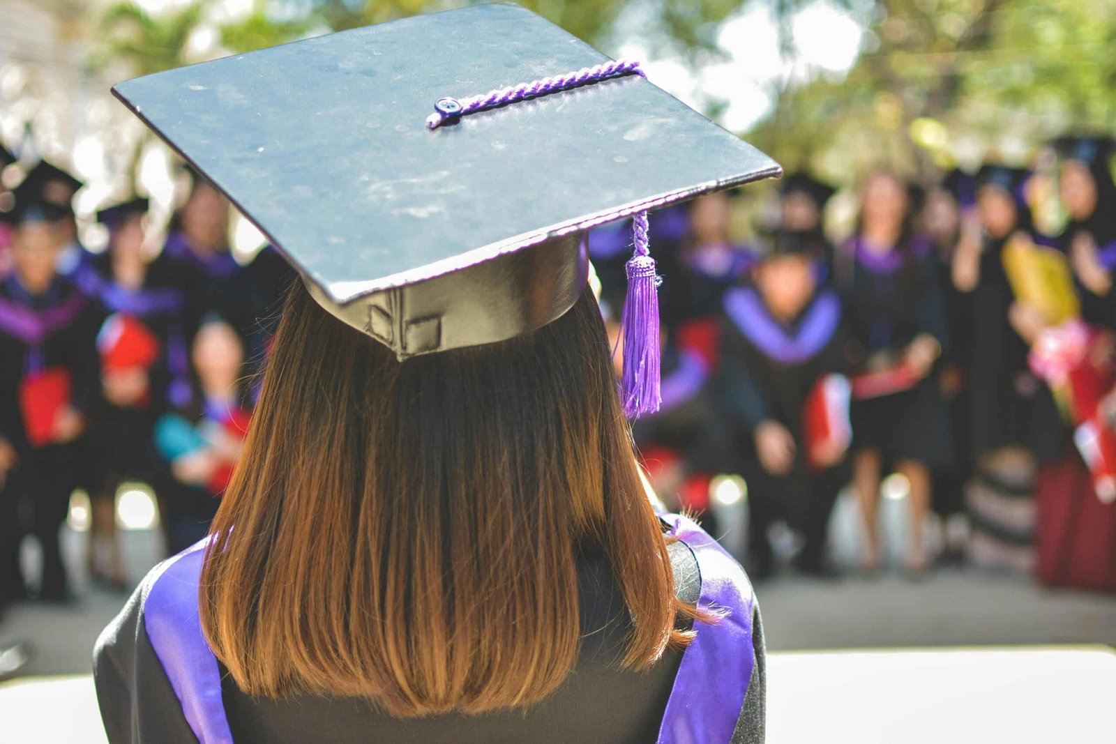 MOST POPULAR DEGREES IN THE UK