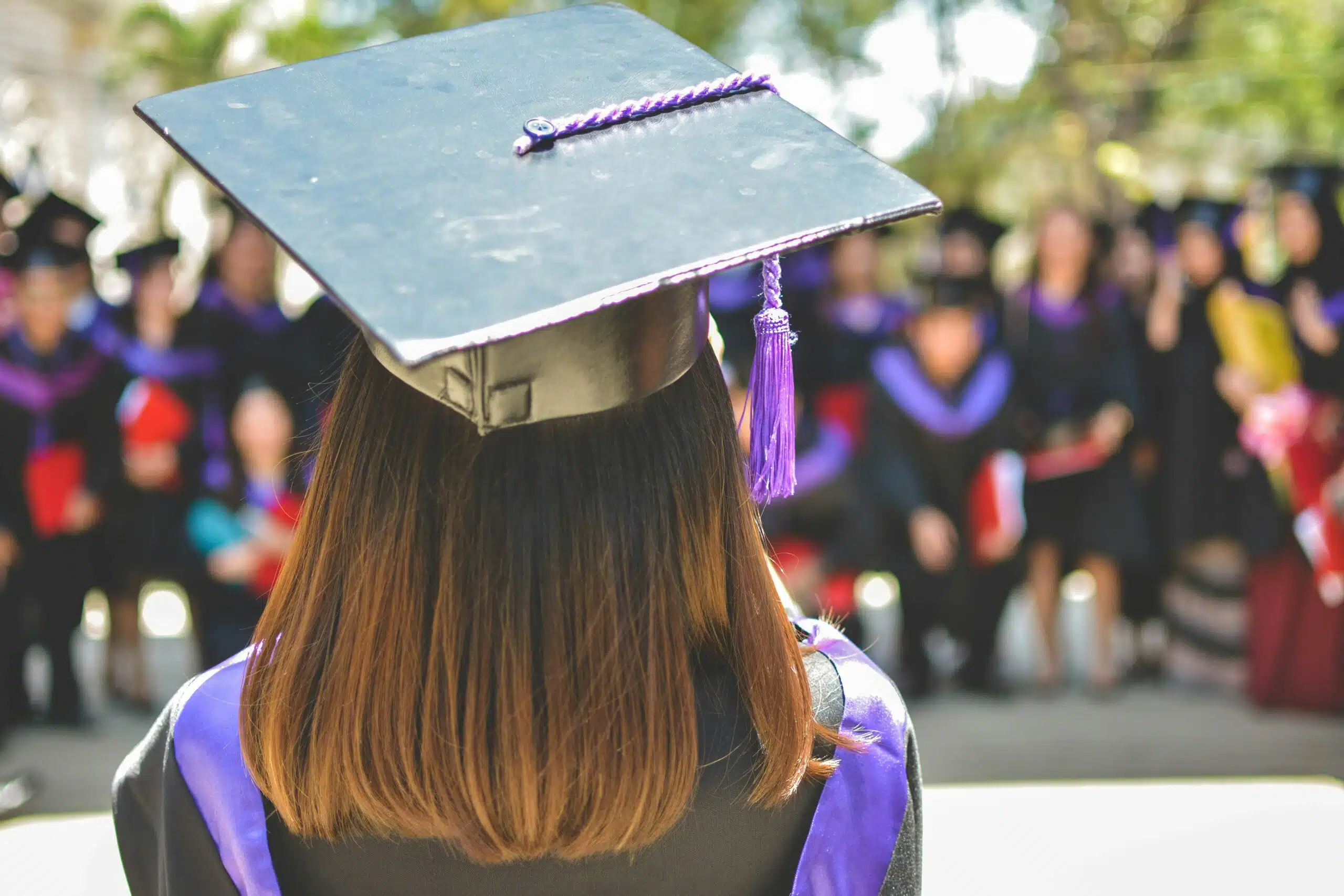 MOST POPULAR DEGREES IN THE UK